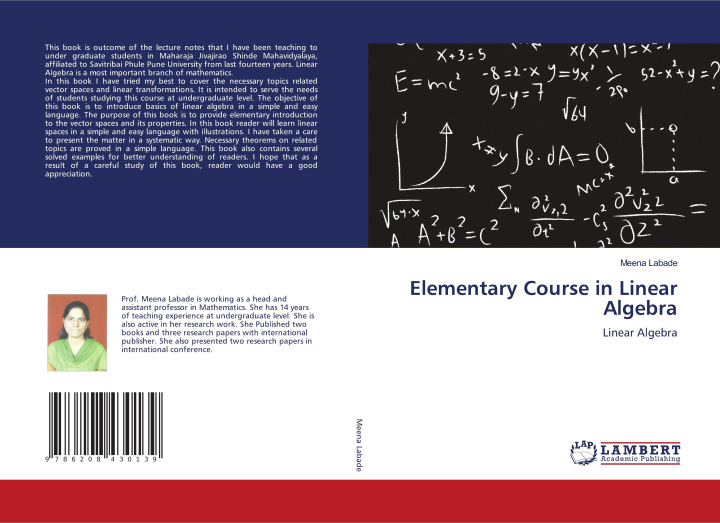 Kniha Elementary Course in Linear Algebra Meena Labade