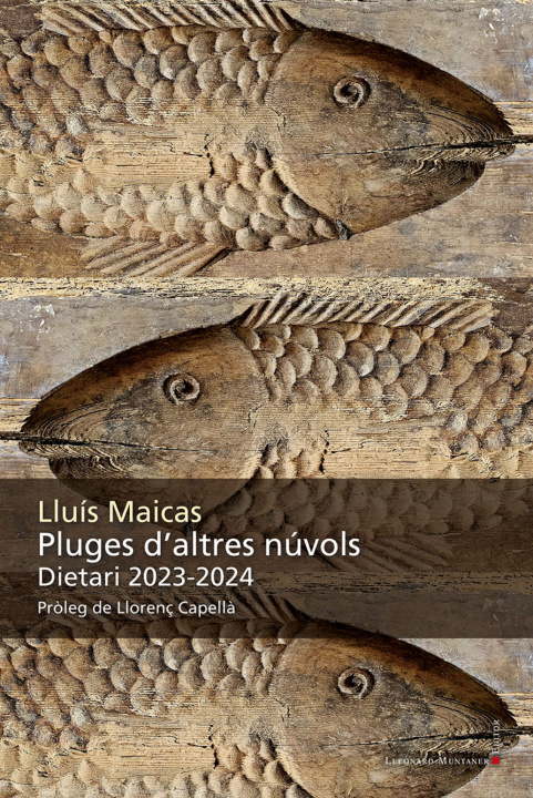 Книга Pluges d'altres núvols 