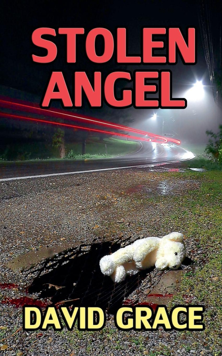 Book Stolen Angel David Grace