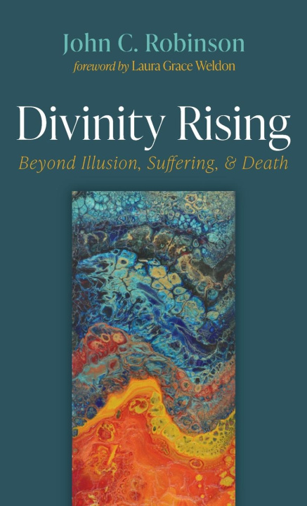 Kniha Divinity Rising John C. Robinson