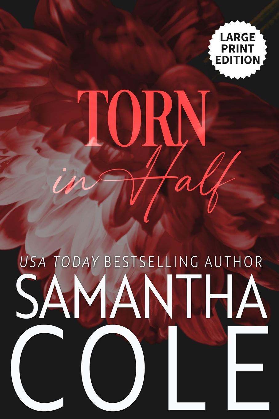 Book Torn in Half Eve Arroyo