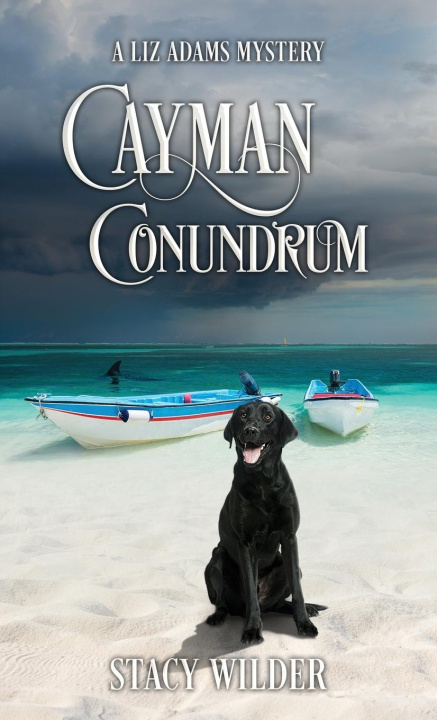 Kniha Cayman Conundrum Stacy Wilder