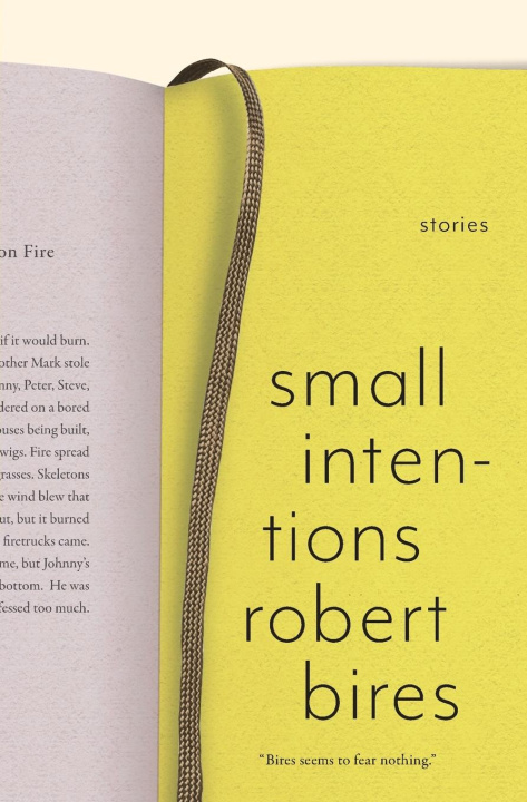 Kniha Small Intentions Robert Bires