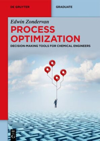Knjiga Process Optimization Edwin Zondervan