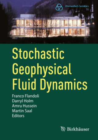 Kniha Stochastic Geophysical Fluid Dynamics Franco Flandoli