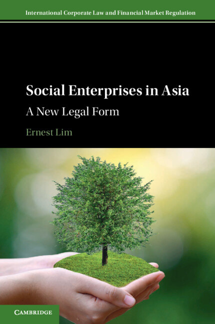 Knjiga Social Enterprises in Asia Ernest (National University of Singapore) Lim