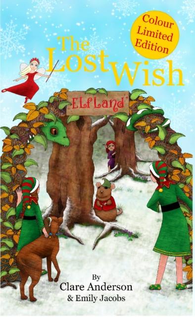 Kniha Lost Wish Clare Anderson