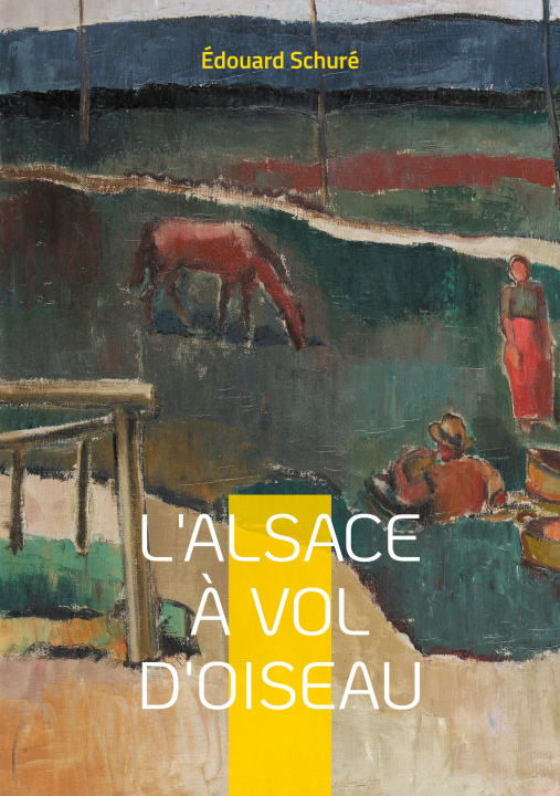 Kniha ALSACE A VOL D OISEAU SCHURE EDOUARD