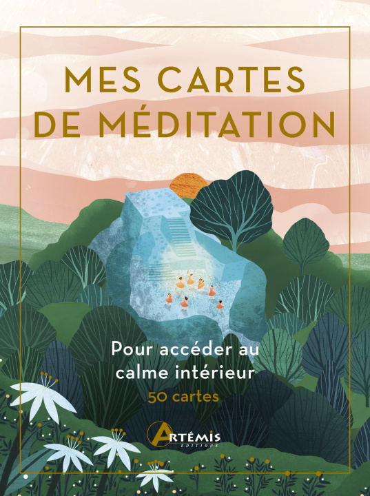 Book Mes cartes méditation Davies