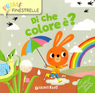 Kniha Di che colore è? Anna Casalis