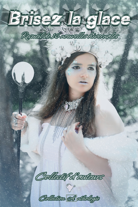 Book Brisez la glace Bastienne