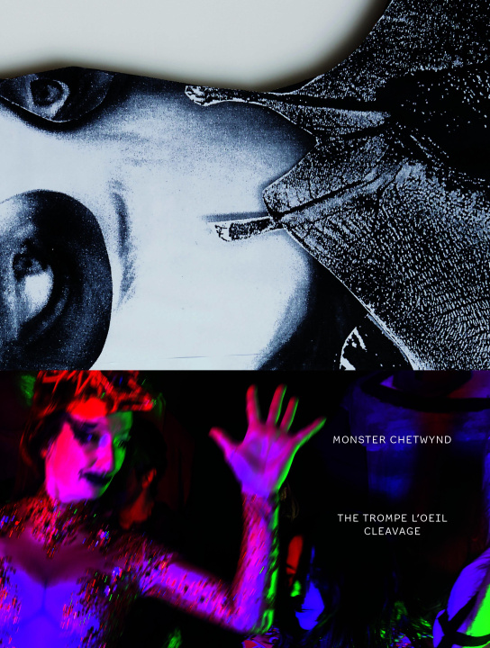 Book Monster Chetwynd Bronfen
