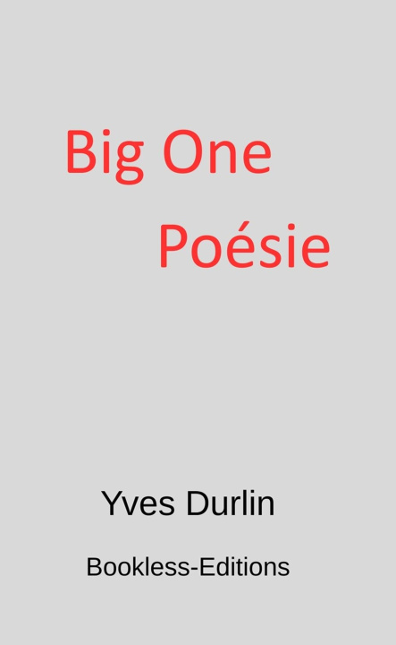 Book Big One Poésie Yves Durlin