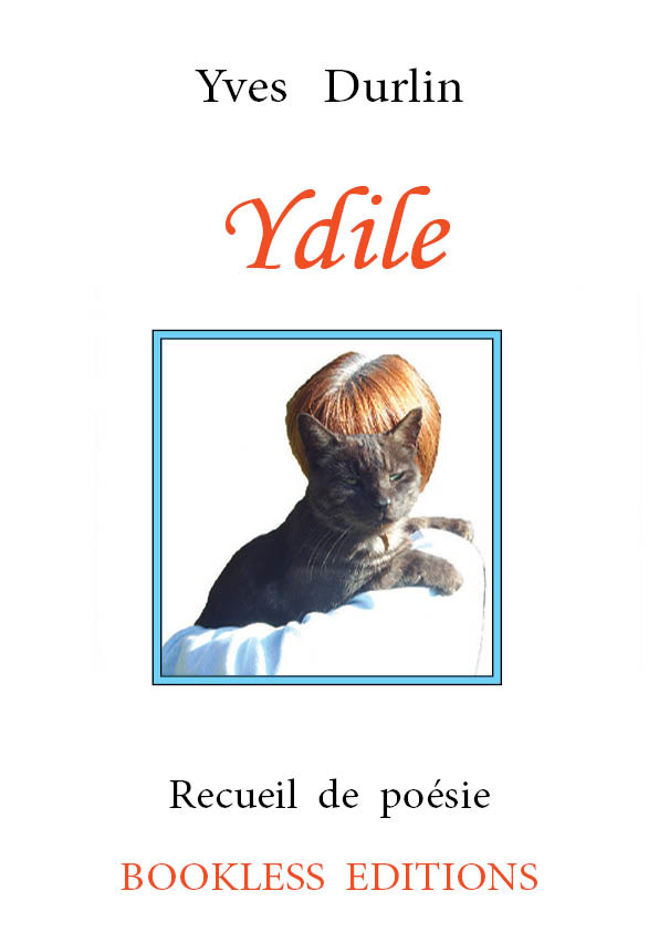 Kniha Ydile Yves Durlin