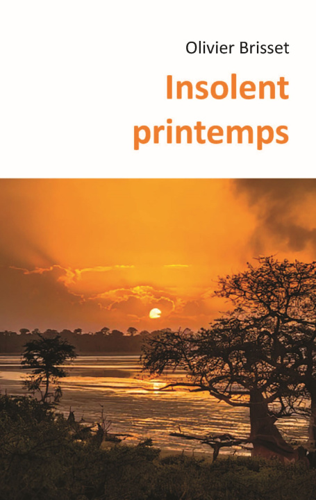 Boek Insolent printemps BRISSET