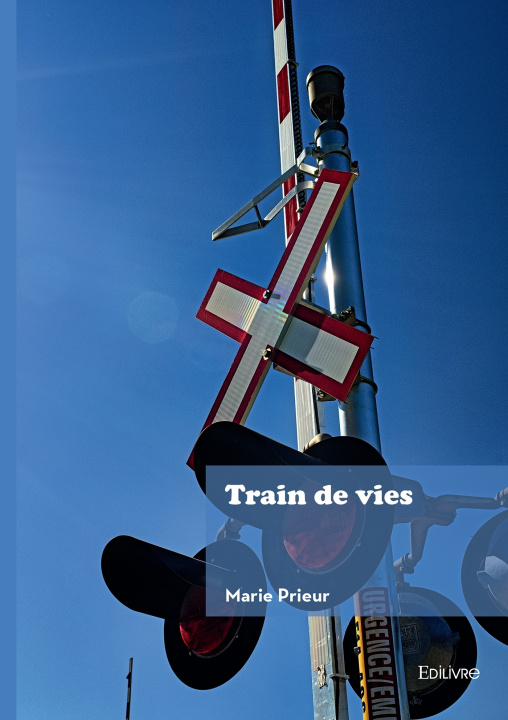 Kniha Train de vies Marie Prieur