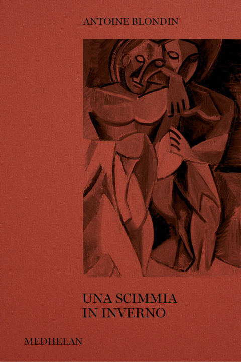 Book scimmia in inverno Antoine Blondin