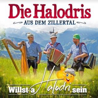 Audio Willst a Halodri sein 