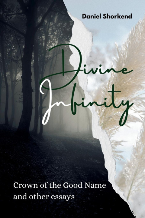 Kniha Divine Infinity 