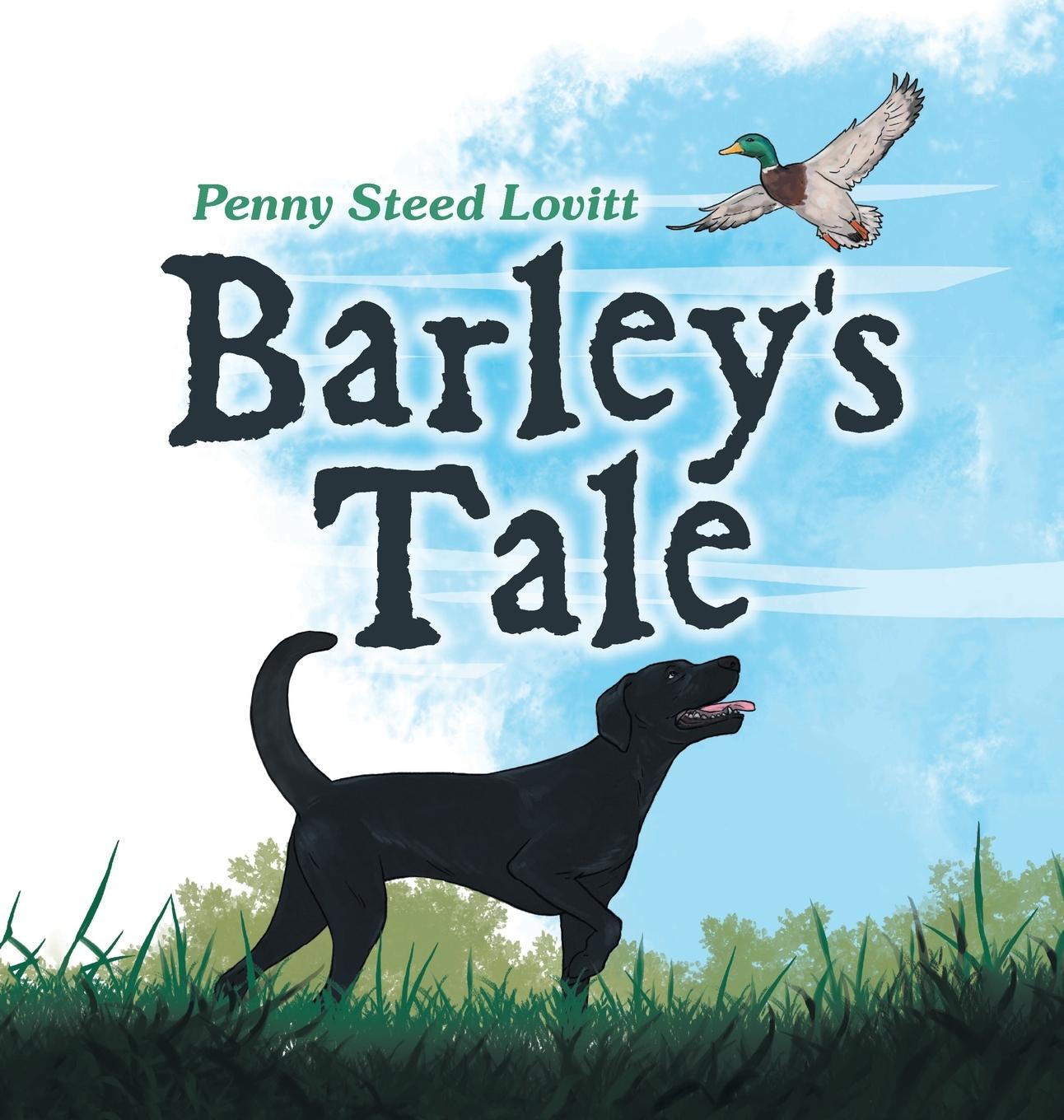 Kniha Barley's Tale Penny Steed Lovitt