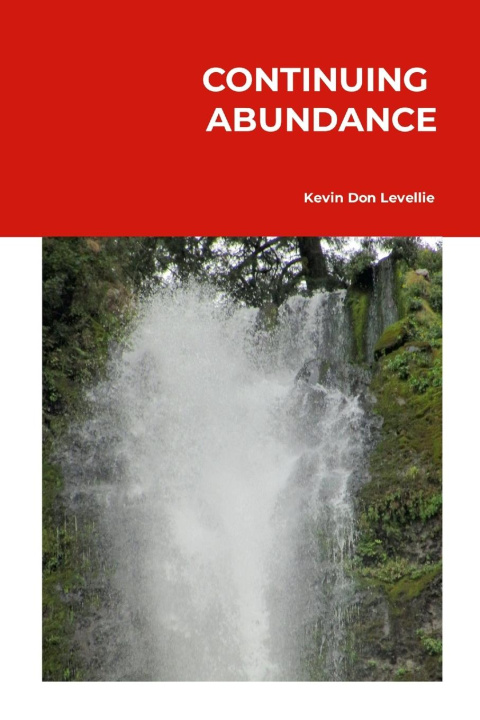 Kniha Continuing Abundance KEVIN LEVELLIE