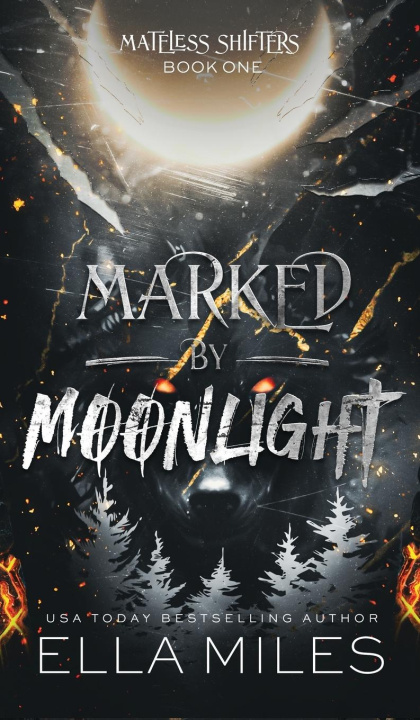 Kniha Marked by Moonlight 