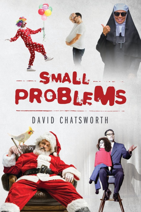 Knjiga Small Problems David Chatsworth