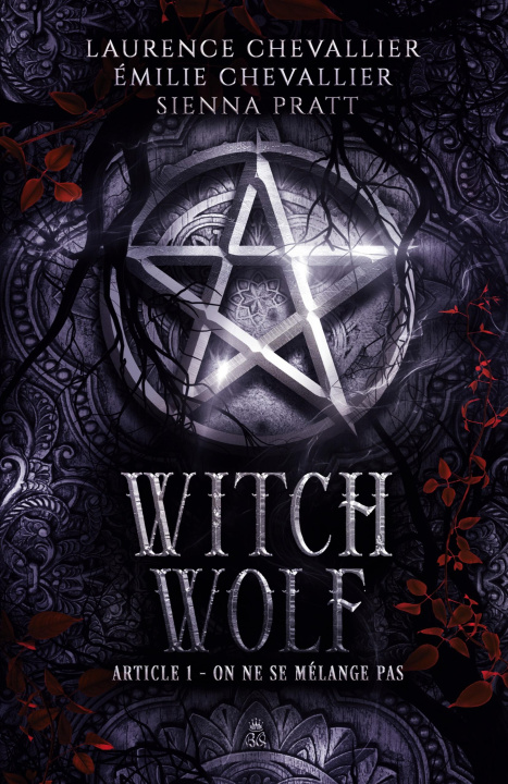 Kniha Witch Wolf Émilie Chevallier