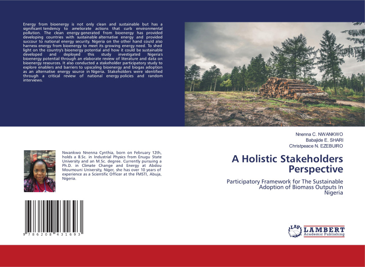 Kniha A Holistic Stakeholders Perspective Babajide E. Shari