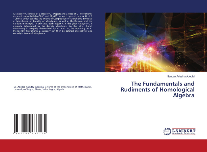 Libro The Fundamentals and Rudiments of Homological Algebra Sunday Adesina Adebisi