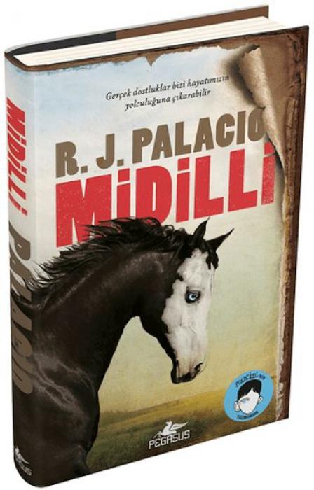Kniha Midilli Ciltli 