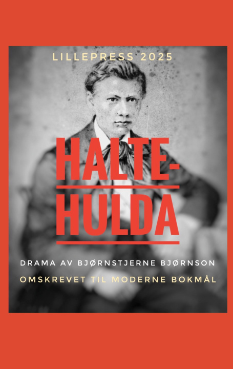 Kniha Halte-Hulda Stein Schinstad