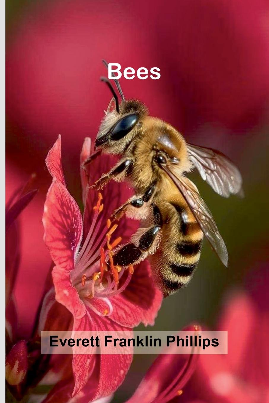 Kniha Bees Everett Franklin Phillips