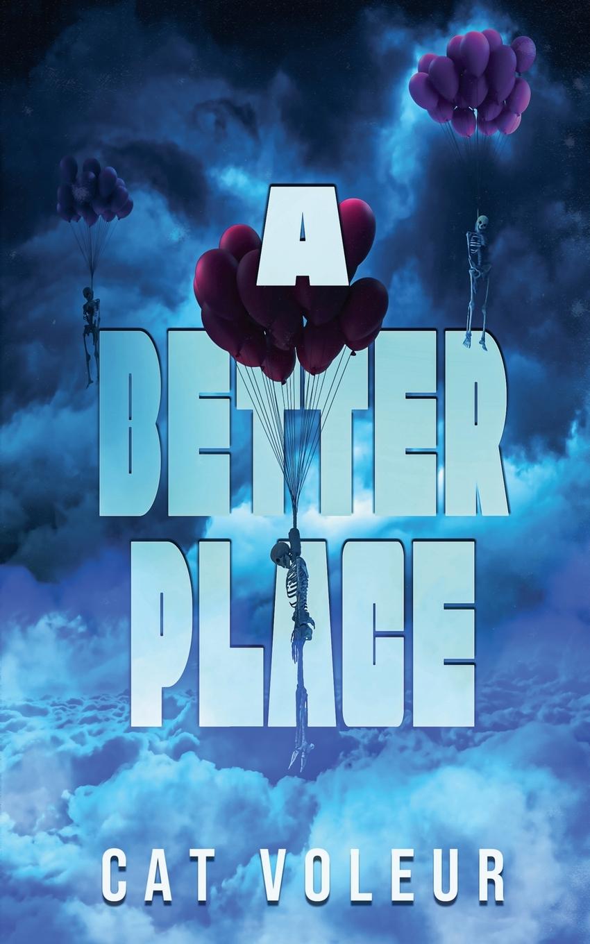 Boek A Better Place 