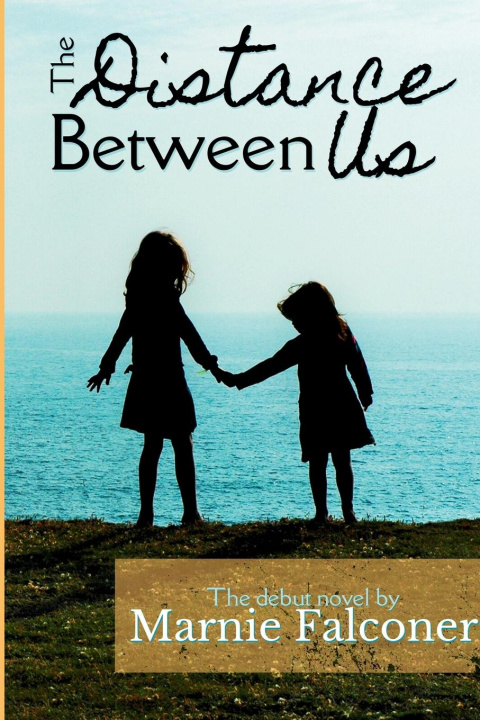Kniha The Distance Between Us Marnie Falconer
