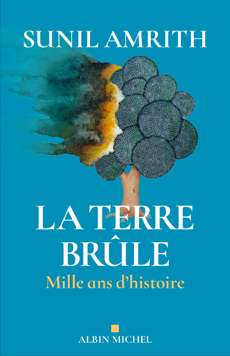Kniha La Terre brûle Sunil Amrith