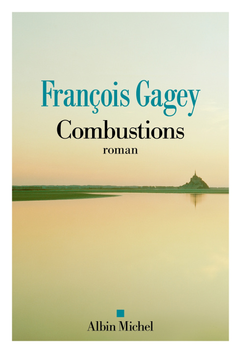 Βιβλίο Combustions François Gagey