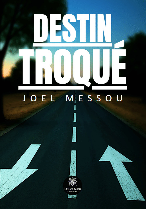 Kniha Destin troqué Messou