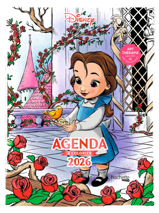 Kalendár/Diár Agenda Disney 2026 - Petites Poupées 