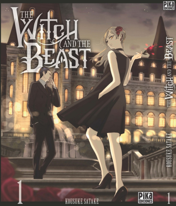 Kniha The witch Kousuke Satake