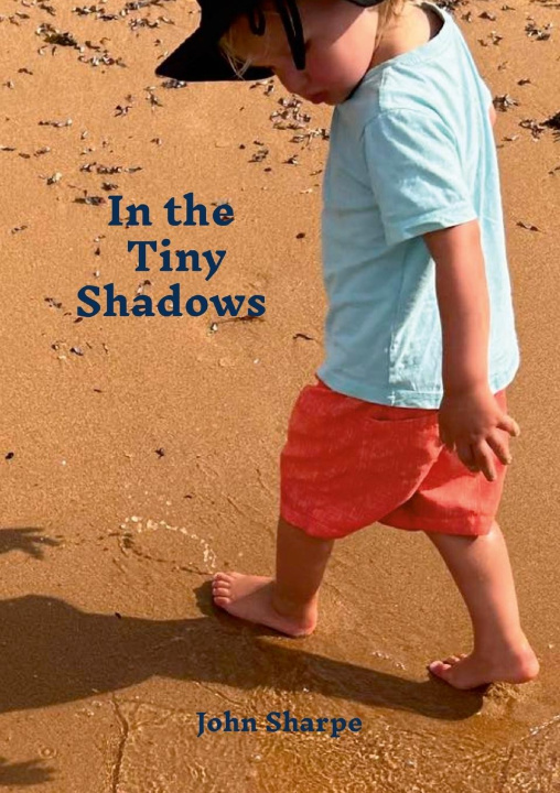 Kniha In the Tiny Shadows John Sharpe