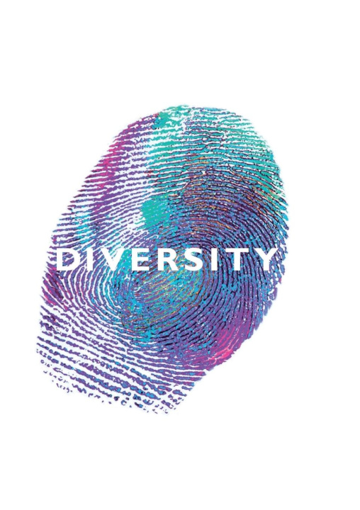 Kniha Diversity Maeve Marsden