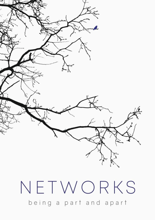 Kniha Networks Larissa Behrendt