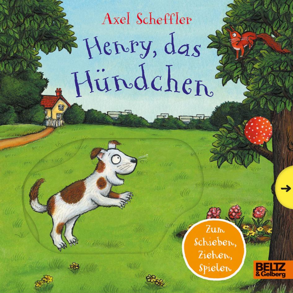 Kniha Henry, das Hündchen Anu Stohner