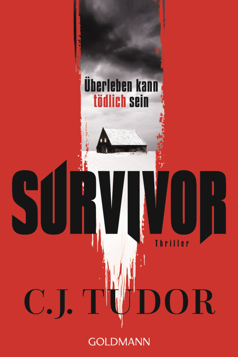 Kniha Survivor Marcus Ingendaay