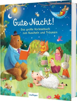 Kniha Gute Nacht! Ag Jatkowska