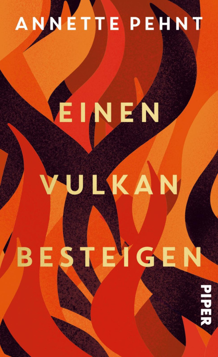 Kniha Einen Vulkan besteigen Annette Pehnt