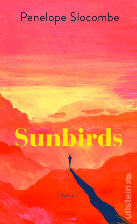 Kniha Sunbirds Britt Somann-Jung