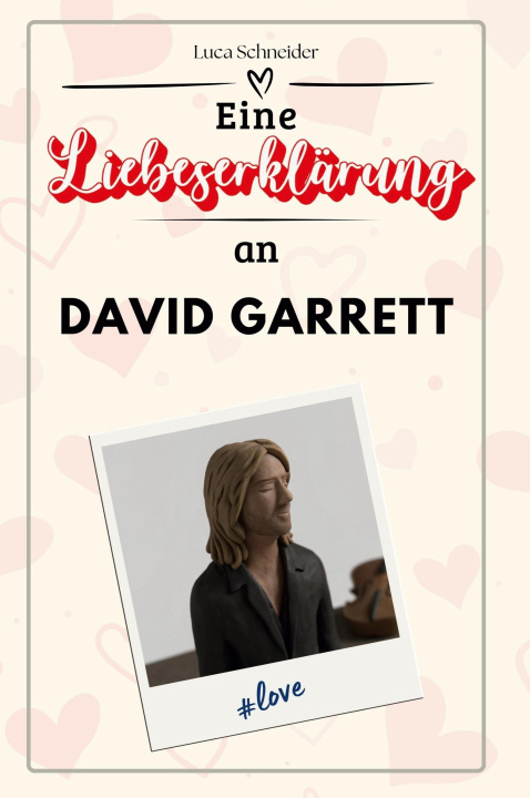 Kniha Eine Liebeserklärung an David Garrett Luca Schneider