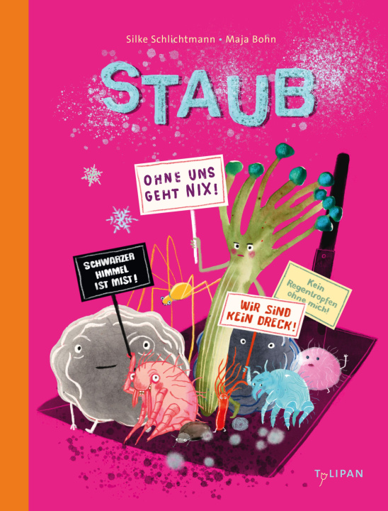 Kniha Staub Maja Bohn